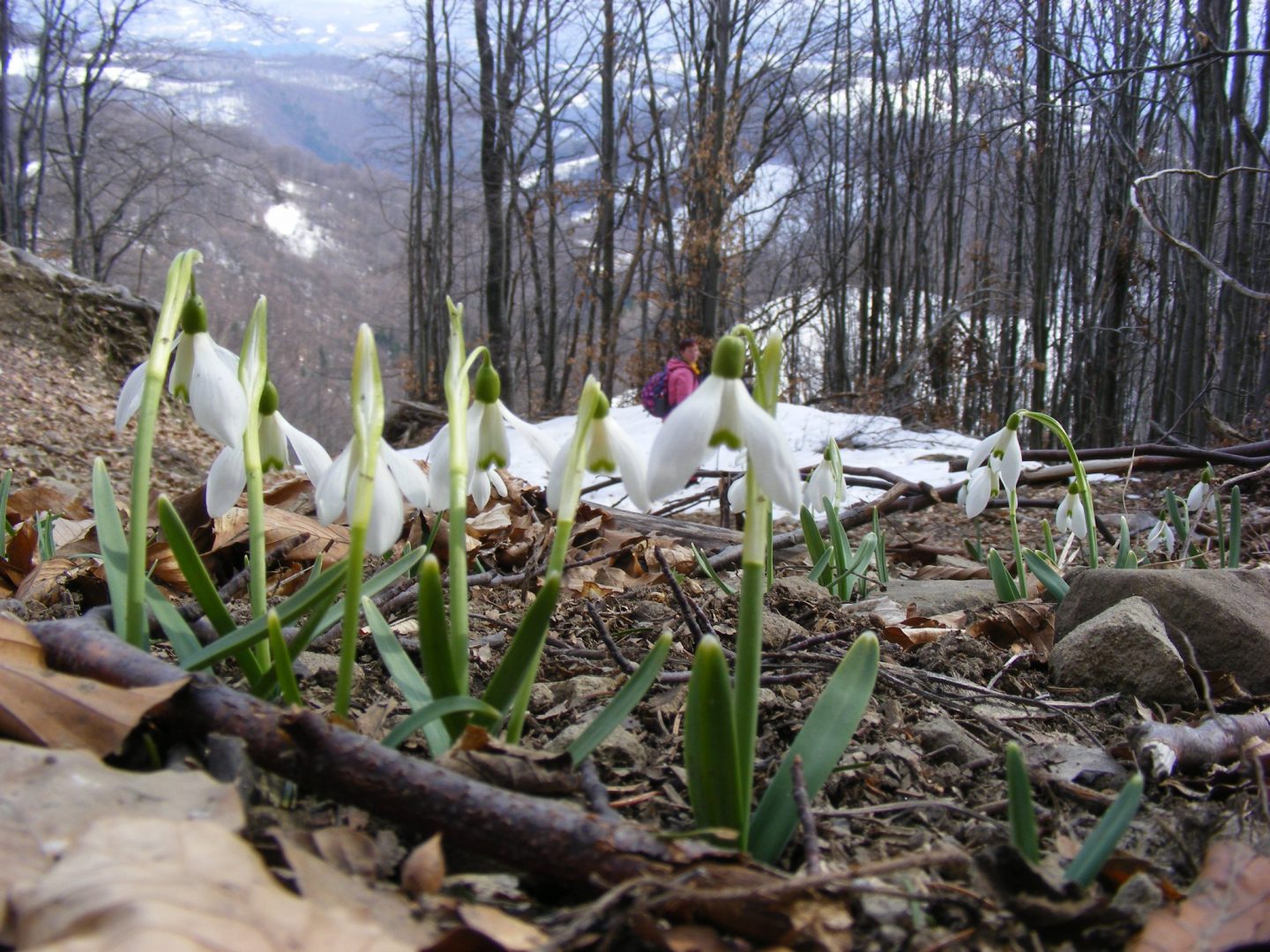 Prognoza meteo pentru 21 februarie 2022 – 21 martie 2022