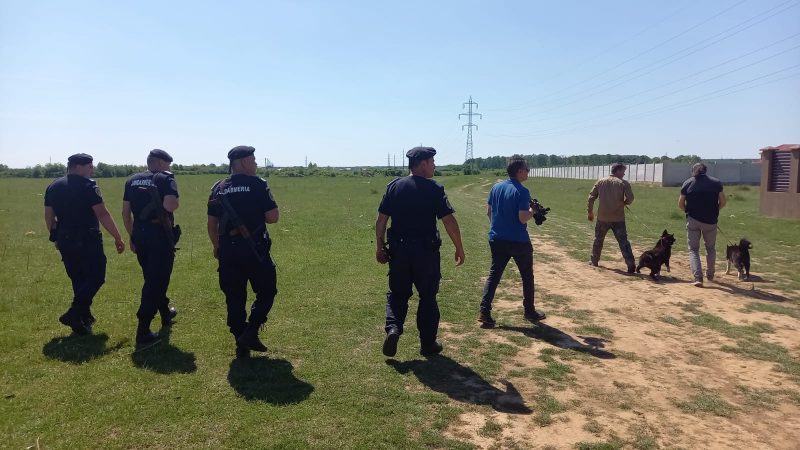 Monitorizarea, supravegherea și verificarea a zonei unde a fost văzut leul