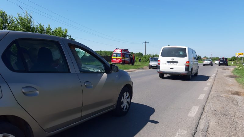 ALERTĂ DE GRADUL ZERO în municipiul Târgoviște, un leu este în libertate