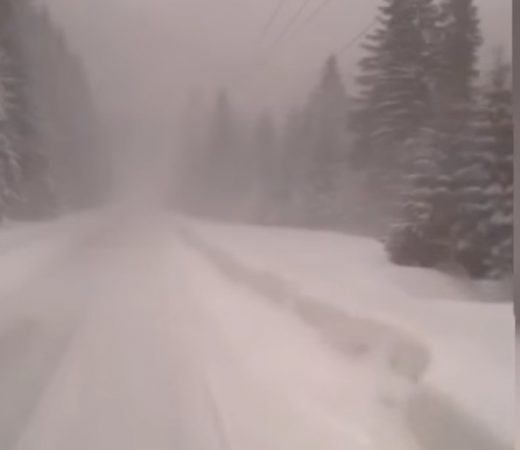 INFORMARE METEO și COD GALBEN de VÂNT și NINSORI, vizat este întreg județul Dâmbovița