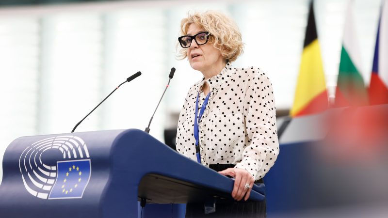 Europarlamentarul Carme Avram: Fără sprijin european , sectorul românesc al pescuitului e sortit falimentului
