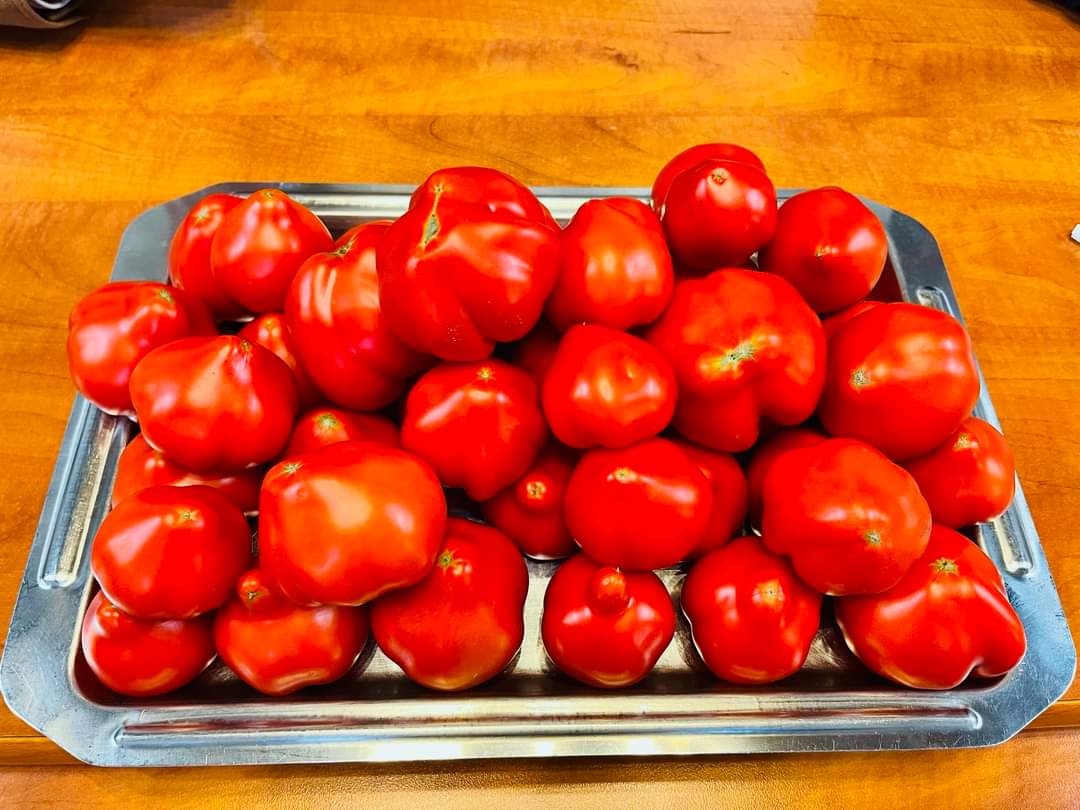 Astfel, de săptămâna viitoare vor începe livrările către lanțurile de supermarketuri și alți parteneri. În prezent sunt disponibile cantități de roșii din programul Tomata