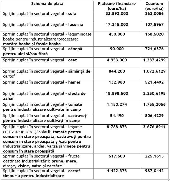 Agenția de Plăți și Intervenție pentru Agricultură (APIA) informează că a demarat autorizarea la plată a schemelor de sprijin cuplat în sectorul vegetal Campania 2022.