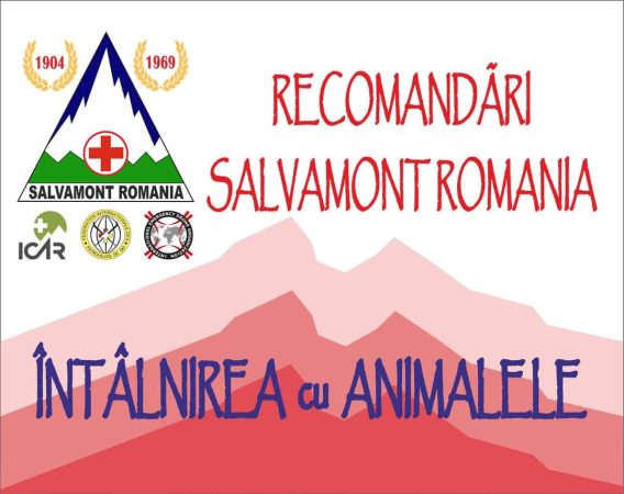 Salvamont face apel la responsabilitate din parter turiștilor