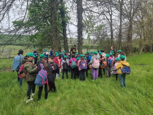 Astăzi, 5 iunie este Ziua Mondială a Mediului Înconjurător