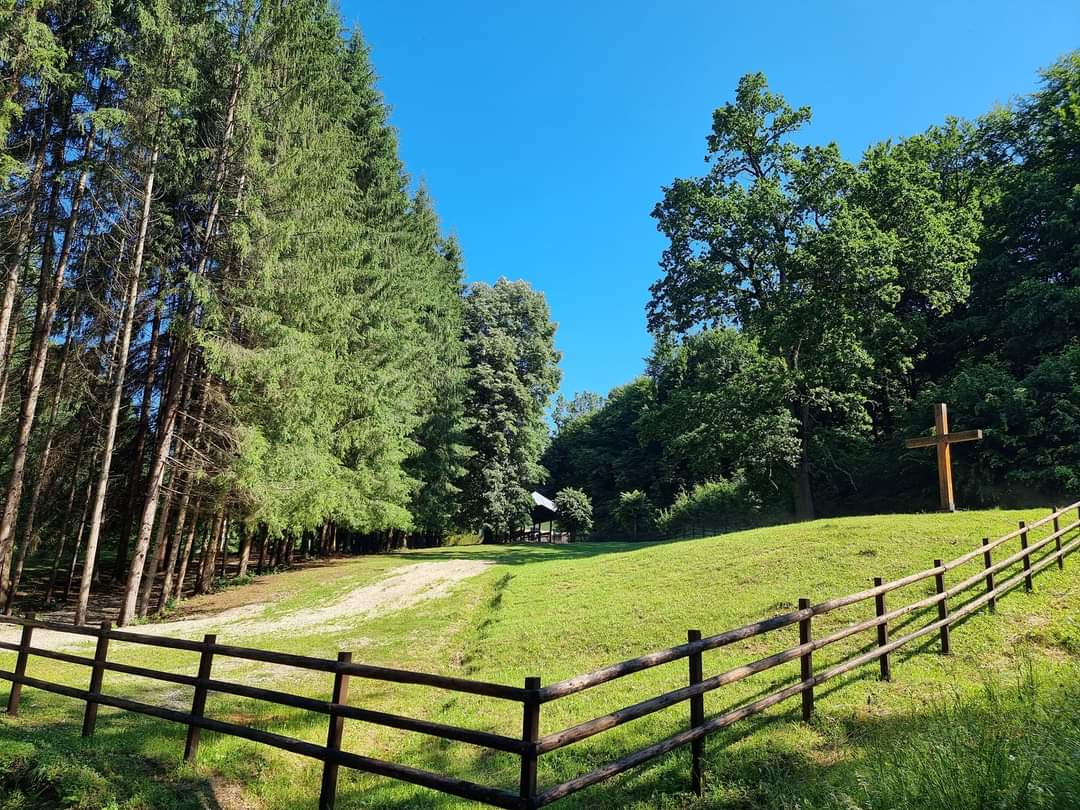 Imagini de poveste de la Cantonul silvic Valea Aninoasei de pe Valea Dâmboviței