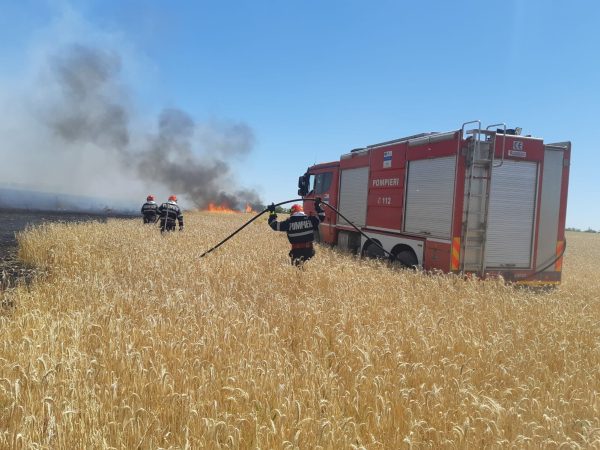 Incendiu izbucnit la o cultură de grâu din comuna Corbii Mari, sat Podu Corbencii
