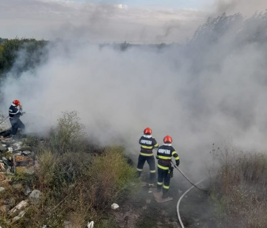Incendiu puternic în Crevedia, zona lacurilor