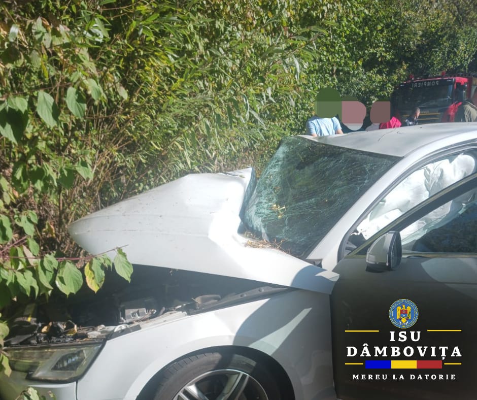 A văzut moartea cu ochii, la data de 12 octombrie a.c., polițiștii au fost sesizați cu privire la producerea unui accident rutier între localitățile Vulcana Pandele și Vulcana-Băi