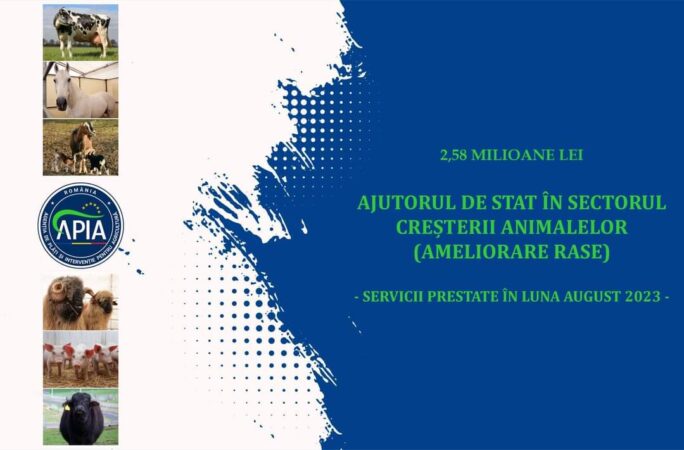 APIA: Sprijin financiar în valoare de peste 2,58 milioane lei pentru crescătorii de animale