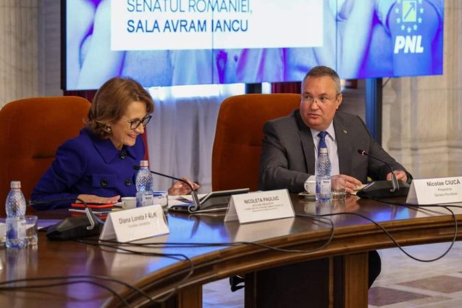 PNL: Siguranța copiilor în mediul online este o datorie pe care noi, ca decidenți, o avem