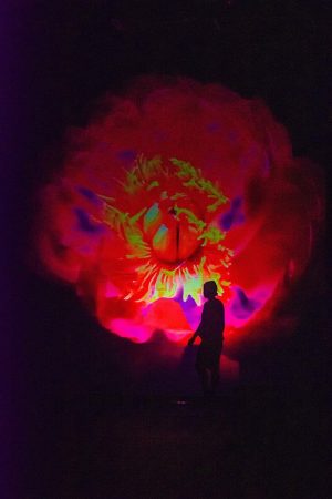 Teatrul „Tony Bulandra” Târgovişte vă așteaptă la spectacolul „Doamna Escobar”