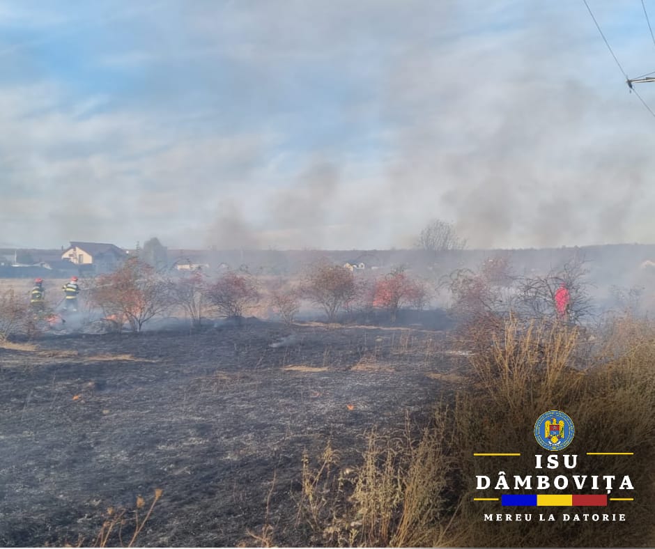 La Mănești, o plantație de meri a fost mistuită de flăcări, se pare că un incendiu de vegetație uscată  a făcut prăpăd. Detașamentul de Pompieri Târgoviște