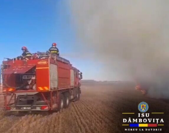 STOP INCENDIILOR DE VEGETAȚIE! Pompierii din Dâmbovița au intervenit la peste 40 de incendii de vegetație