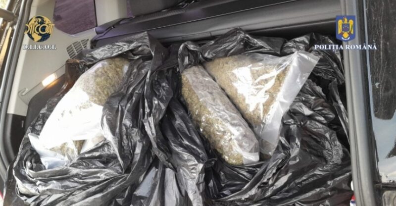 Operațiune de amploare: A fost destructurată o rețea de traficanți de droguri, care acționa în municipiul Târgoviște