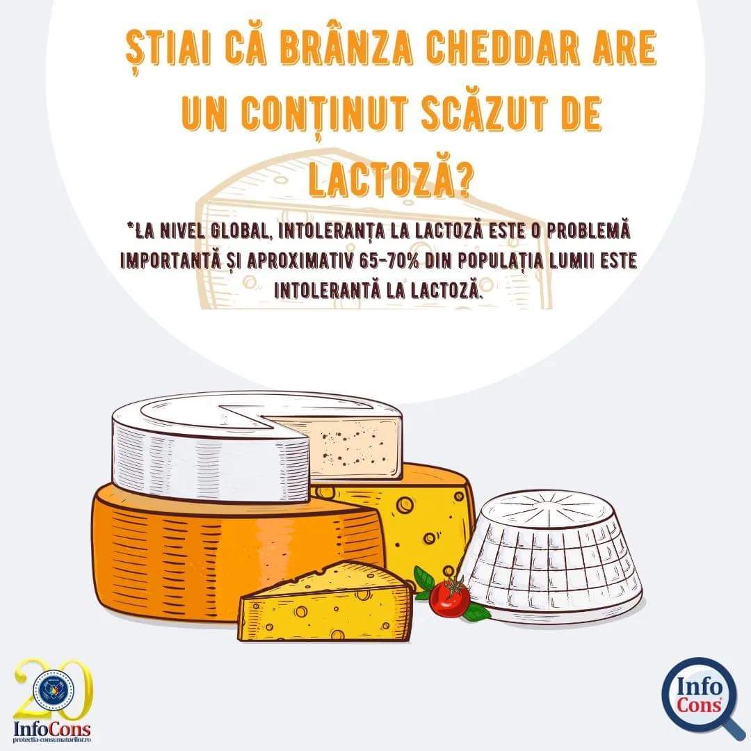 InfoCons: Știai că brânza cheddar are un conținut scăzut de lactoză?