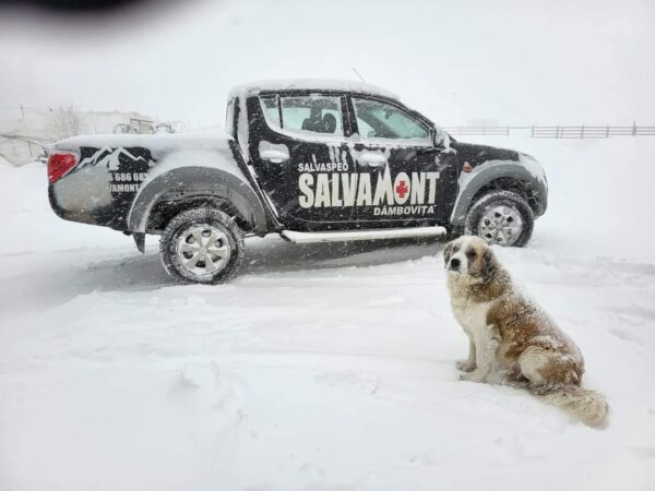 Salvamont Salvaspeo Dâmbovița face recomandări turiştilor ce doresc să participe la ziua Sfinxului, marți, 28.11.2023