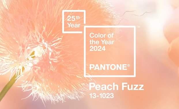 Culoarea anului 2024, desemnată de Pantone Color Institute, este ”Peach Fuzz”, descrisă ca semănând cu ”o piersică delicată, catifelată, al cărei spirit atotcuprinzător îmbogăţeşte mintea, corpul şi inima”.