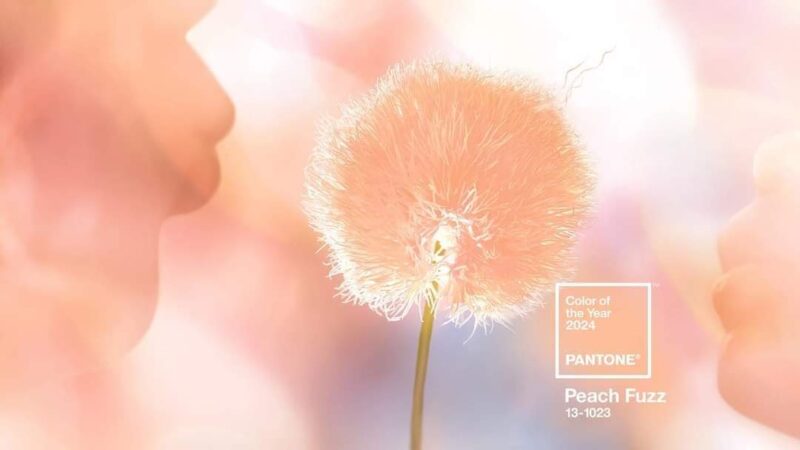 ”Peach Fuzz” este culoarea anului 2024, desemnată de Pantone Color Institute Culoarea anului 2024, desemnată de Pantone Color Institute, este ”Peach Fuzz”, descrisă ca semănând cu ”o piersică delicată, catifelată, al cărei spirit atotcuprinzător îmbogăţeşte mintea, corpul şi inima”.