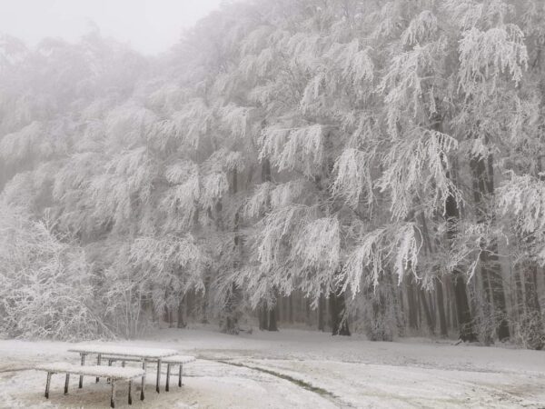 Județul Dâmbovița este sub INFORMARE METEOROLOGICĂ de GER, interval de valabilitate: 9 ianuarie, ora 10:00 – 11 ianuarie, ora 10:00.