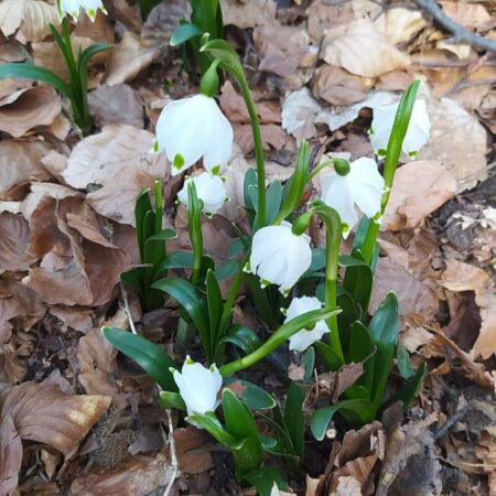 Anul 2023 a fost  cel mai cald an din 1900 şi până în prezent,  cu o temperatură medie  de 12,5 grade și o abatere termică de 2,3 grade