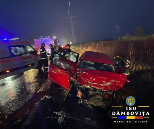 Luni de  dimineață, 8 ianuarie, polițiștii din cadrul Serviciului Rutier au fost sesizați cu privire la producerea unui accident rutier pe drumul național 71, în localitatea Ulmi. 