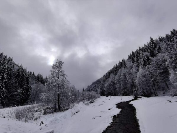  Parcul Național Buila - Vânturarița este cel mai mic parc național (circa 4200 hectare) din țara noastră, dar unul cu cele mai spectaculoase și sălbatice locuri de văzut. 