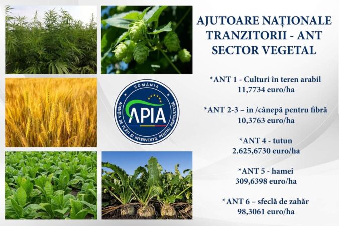 Ministerul  Agriculturii a demarat procesul de autorizare la plată a Ajutoarelor Naționale Tranzitorii (ANT) sector vegetal
