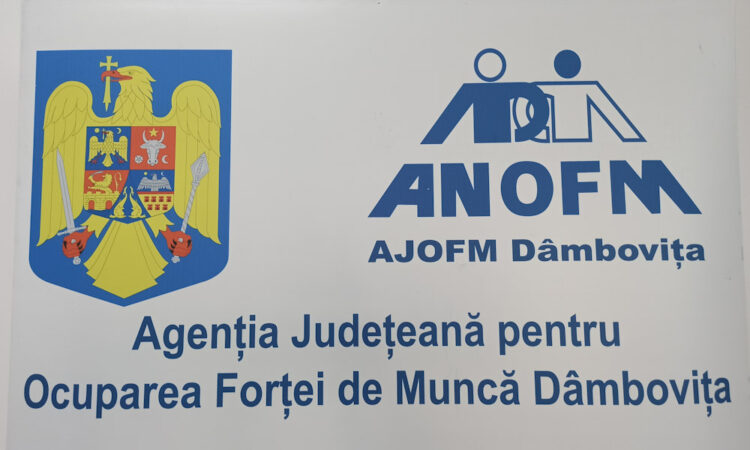 AJOFM Dâmbovița: 220 de locuri de muncă disponibile pentru persoanele care doresc să se angajeze AJOFM Dâmbovița informează persoanele interesate să se angajeze, că astăzi au la dispoziție 220 de locuri de muncă disponibile, din care