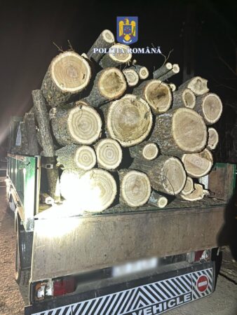 Hoții de lemne au fost în vizorul polițiștilor dâmbovițeni Polițiștii din cadrul Poliției Orașului Găești împreună cu cei de la Secția nr. 8 Poliție Rurală Valea Mare au organizat o acțiune