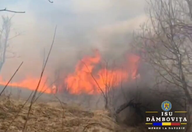 ISU Dâmbovița face apel către cetățeni! Opriți-vă din incendierea terenurilor și a miriștilor pentru arderea vegetației uscate.