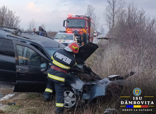 Ieri dimineață, 21 martie, polițiștii din cadrul Poliției Orașului Găești au fost sesizați cu privire la producerea unui accident rutier în Vișina. 