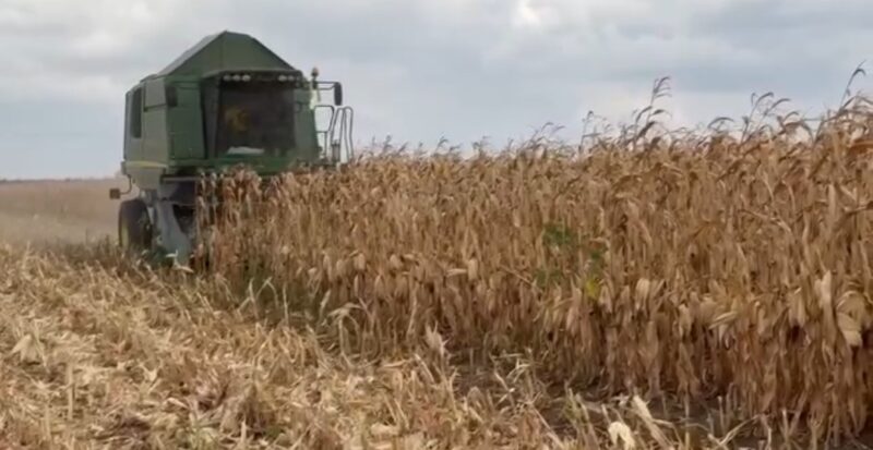 APIA a făcut plăți de peste 424 milioane lei pentru Campania 2023