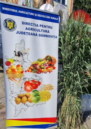 Fonduri europene pentru revigorarea sectorului apicol Guvernul României, prin MADR, a adoptat o nouă schemă de ajutor de stat cu caracter temporar pentru compensarea parțială