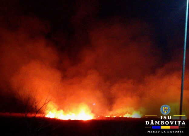 Detașamentul de Pompieri Titu a fost solicitat să  intervină cu o autospecială de stingere cu apă și spumă.La fața locului echipajul