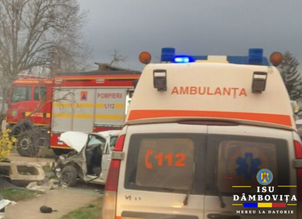 Pe DJ 101B  comuna Butimanu ,  din primele date ,  un tânăr de 20 de ani, în timp ce ar fi condus un autoturism, a părăsit partea carosabilă și s-a izbit de un stâlp.