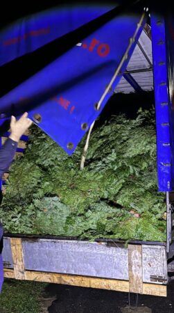 Polițiștii din cadrul Poliției Orașului Fieni și cei de la Secția nr. 7 Poliție Rurală Fieni au organizat o acțiune pentru