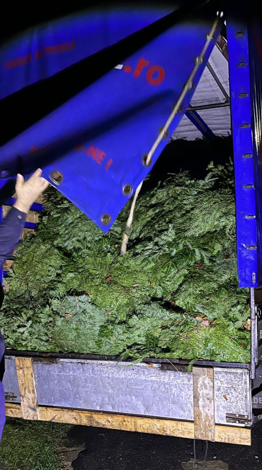 Polițiștii din cadrul Poliției Orașului Fieni și cei de la Secția nr. 7 Poliție Rurală Fieni au organizat o acțiune pentru