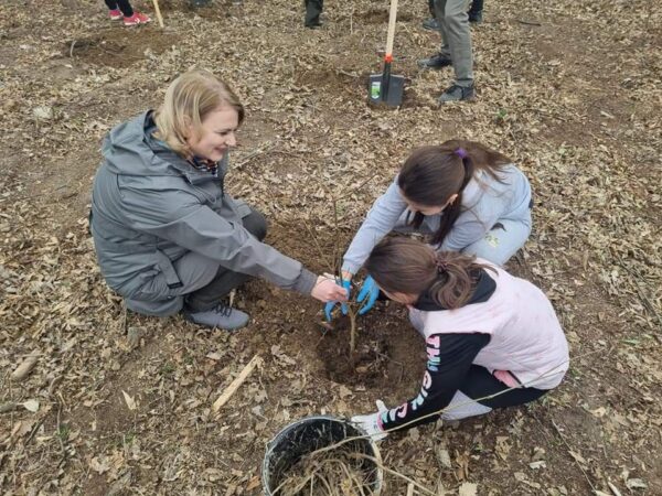 Oficial, “ Luna Pădurii - Luna plantării arborilor” începe în data de 15 martie.