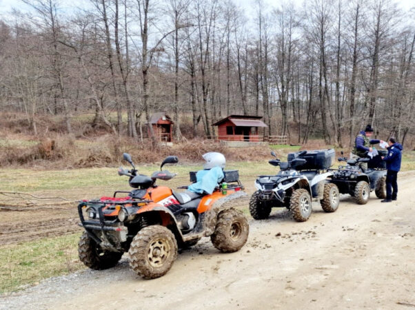 Jandarmii dâmbovițeni în colaborare cu un reprezentant al Ocolului Silvic Sturzeni au desfășurat, weekend-ul trecut, mai multe acțiuni