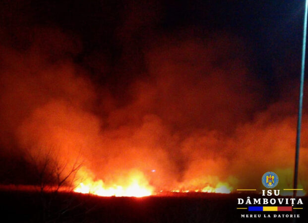 În perioada 26 februarie – 04 martie 2024, echipajele de intervenţie din cadrul Inspectoratului pentru Situaţii de Urgenţă „Basarab I