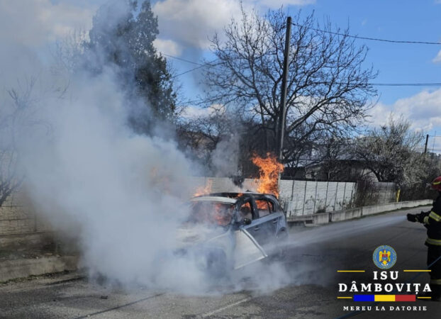 A fost panică  mare pe o stradă din comuna dâmbovițeană Aninoasa. 