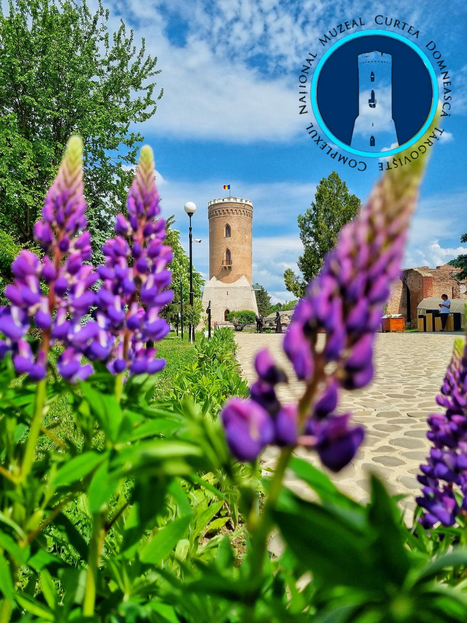 Începând de duminică, 31 martie 2024, Complexul Naţional Muzeal „Curtea Domnească” (CNMCD) Târgovişte trece la programul de vară.