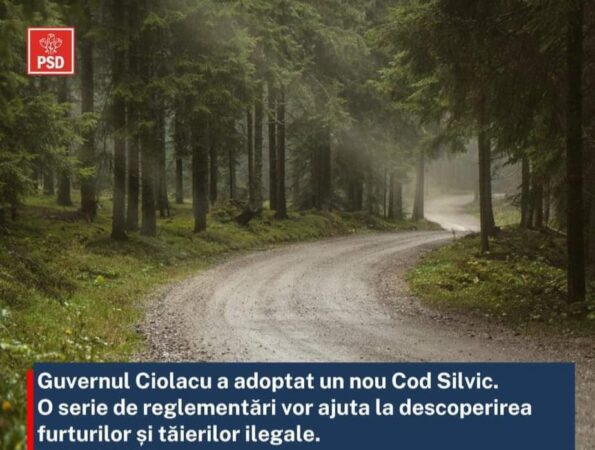PSD spune că noua legislație reglementează lupta digitalizată cu tăierile ilegale de pădure. Astfel, au fost introduse o serie de prevederi noi.