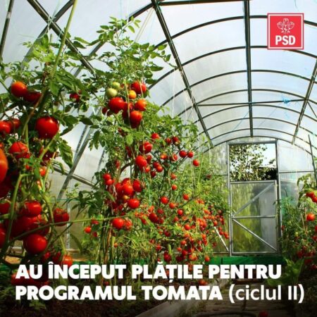 PSD: LEGUMICULTORII ÎȘI PRIMESC BANII PSD anunță că începând de săptămâna aceasta, legumicultorii înscriși pentru ajutorul de minimis de 1.000 euro/1.000 mp/