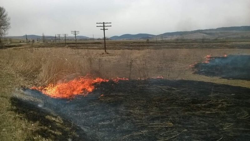 Garda de Mediu  reamintește  tuturor dâmbovițenilor că incendiile de vegetație uscată sunt  INTERZISE prin lege.