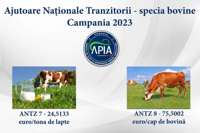 APIA autorizează la plată Ajutoarele Naționale Tranzitorii – specia bovine, Campania 2023 În data de 04.04.2024, APIA a demarat autorizarea la plată a fermierilor care au solicitat, în cadrul Campaniei 2023