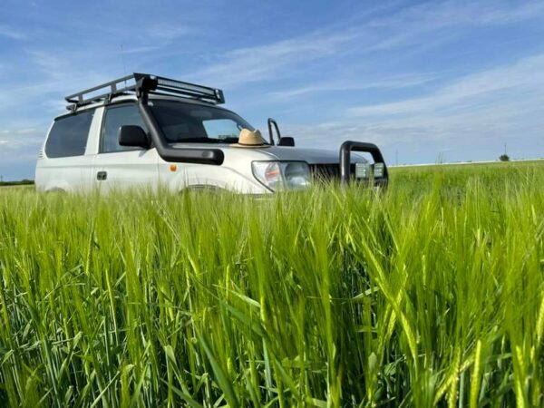  În perioada, 24-26.04.2024, Agenția de Plăți și Intervenție pentru Agricultură (APIA) a efectuat plăți pentru anul de cerere 2023 în suma totală