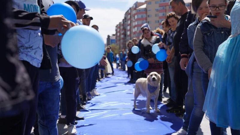 Prefectul județului Dâmbovița, Claudia Gilia   a petrecut  câteva zeci de minute  in mijlocul  copiilor  speciali care au desfășurat o serie 
