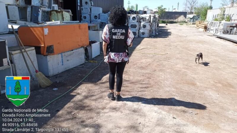 Comisarii Comisariatului Judeţean Dâmboviţa al Gărzii Naţionale de Mediu, împreună cu poliţiştii Serviciului de Investigare a Criminalităţii Economice